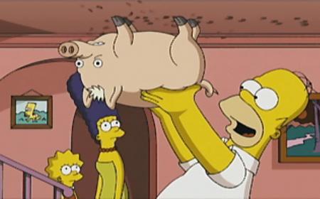 Spider cochon ...