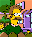 ned